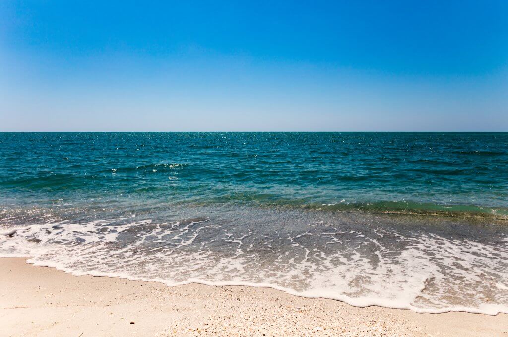 Things to Do on Sanibel Island this Spring